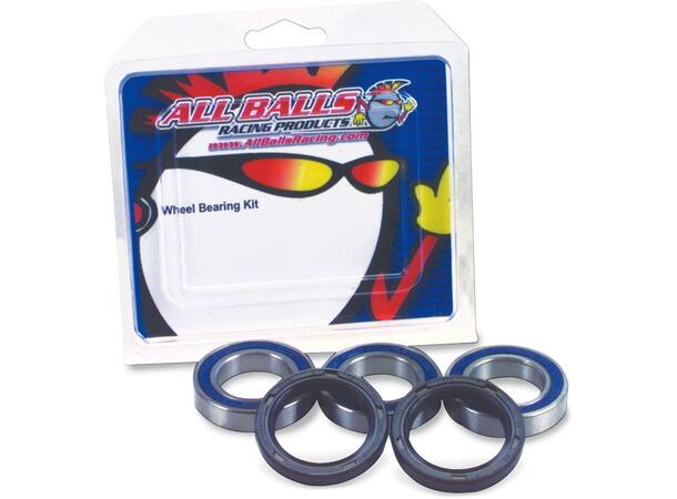 BEARING KIT WHEEL F TRI