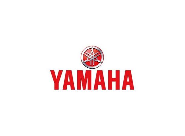 Yamaha Gasswire YZ65 2018