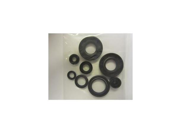 Race Energy Simringer Motor