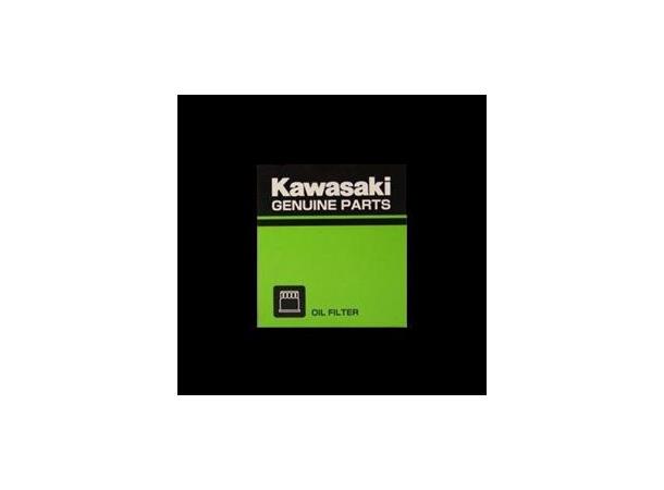 Kawasaki Oljefilter Filter-Assy-Oil