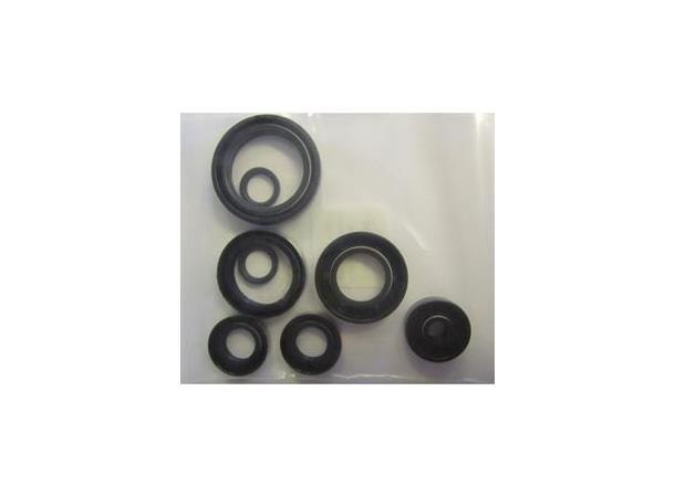 Race Energy Simringer Motor SX85 03-16