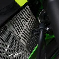 R&amp;G Branded Radiator Guard, stainless, K Kawasaki Ninja 125 / Z125 &#39;19-