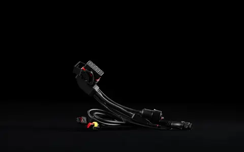 Stark Wiring harness EX