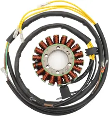 Rick&#39;S Motorsport Electric Stator Polar Stator Oem Style