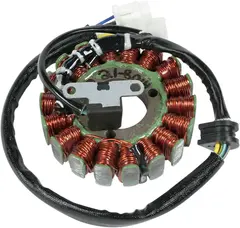 Rick&#39;S Motorsport Electric Stator H.O. Stator Oem Style