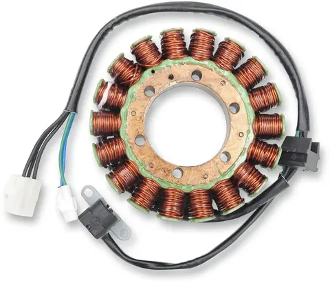 Rick&#39;S Motorsport Electric Stator Arcti Stator Oem Style