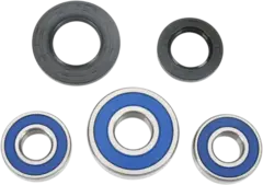 REAR WHEEL BEARING KIT BANDIT 600/650/1200