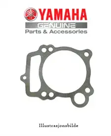Yamaha Toppakning Yz450F 10-16
