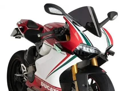 Puig Side Downforce Spoilers | Black/Gr een | Ducati 1199 Panigale 2012&gt;2015