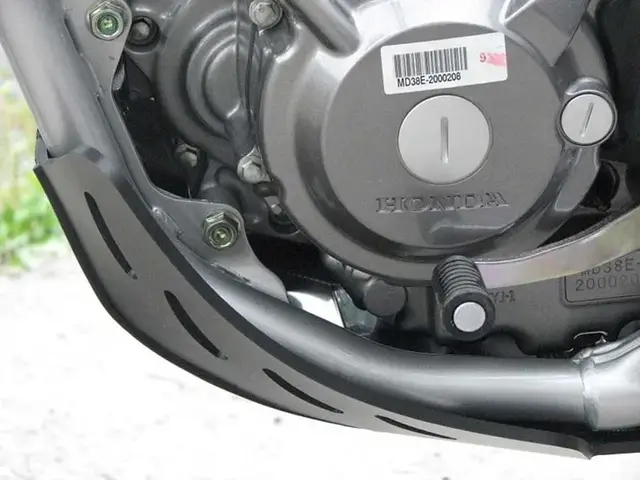 AXP Bunnplate CRF250L 13-20 