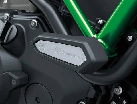 Kawasaki Frame Sliders Z H2