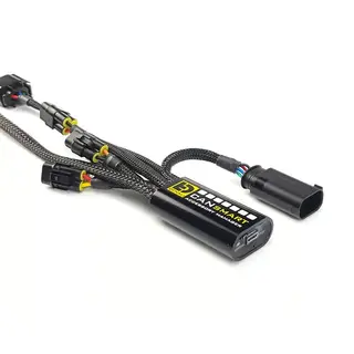 DENALI 2.0 Plug-n-Play CANsmart BMW R1200 LC &amp; R1250 Series - GEN 2