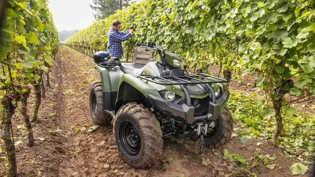 Yamaha Kodiak 450 EPS 2024 TA - Traktor 40 km/t 