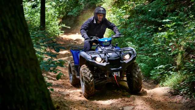Yamaha Kodiak 450 EPS SE 2023 TB 