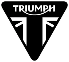 Triumph Bensinpumpe Filtersett