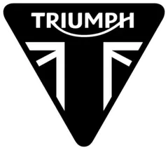 Triumph OEM Luftfilter