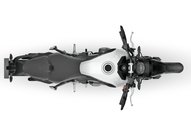 Triumph Trident 660 2026 SNOWDONIA WHITE 