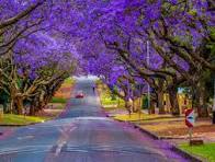 Pretoria i Sør-Afrika